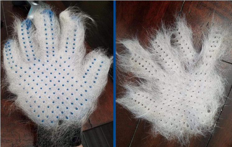 PetPamper Glove