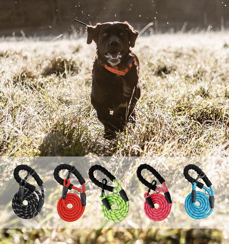 ComfortLead Reflective Leash