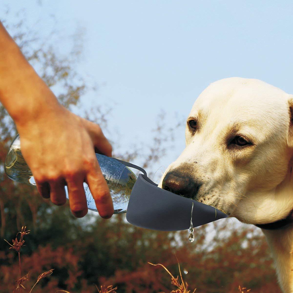 LeafLift Portable Pet Water Bottle